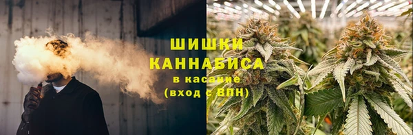 гашик Алзамай