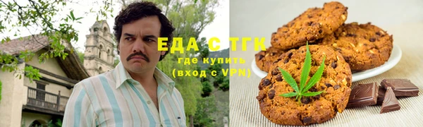 гашик Алзамай