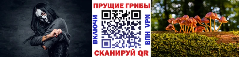 Псилоцибиновые грибы ЛСД  где найти   маркетплейс состав  Череповец 