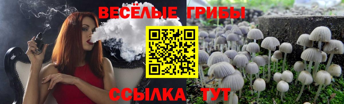 Череповец  Галлюциногенные грибы Cubensis  Вход с VPN  Псилоцибиновые грибы прущие грибы 